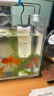 森森 小鲤鱼缸过滤器净水循环三合一内置水族箱过滤系统XQP-500F 6W 实拍图