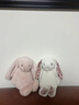 Jellycat害羞乳白色邦尼兔动物毛绒玩偶安抚玩偶娃娃送礼儿童节生日礼物 花布胭脂粉色邦尼兔（彻蕊） Small 实拍图
