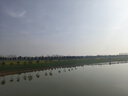 猫九酱现代简约餐厅装饰画奶油风餐桌背景墙挂画轻奢高级感饭厅组合壁画 实拍图