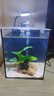 金晶超白玻璃桌面鱼缸小型家用办公室生态懒人全套造景小缸水草缸 鱼缸全套十件超值大礼包+盖子 20*20*25 实拍图