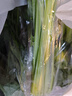 长黄瓜约600g 实拍图