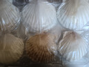 獐子岛 冷冻蒜蓉粉丝扇贝600g 18只 烧烤食材 海鲜生鲜水产预制菜 实拍图