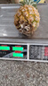 广东徐闻香水菠萝新鲜水果生鲜热带孕妇水果整箱包邮 1个装 单果1.3-1.5斤 实拍图