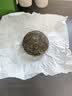 七春普洱小沱茶100g*5生茶云南特产5年陈古树口粮茶节日自己喝礼物 实拍图