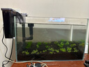 YEE鱼缸金晶超白金鱼裸缸8060家用客厅桌面小草缸龟缸玻璃生态溪流缸 【送上楼】40*23*25*5mm裸缸 实拍图