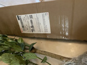 发财树盆栽鲜花绿植物办公室内吸甲醛绿萝文竹水培易养摆件盆景 三杆优质发财树【原盆】 实拍图