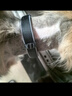 多尼斯（DOGNESS）狗狗牵引绳遛狗绳狗链子项圈中大型犬拉布拉多柴犬金毛边牧 红L 实拍图