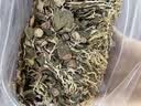 靠农庄 金线莲正宗深山老林采摘福建南靖林下种植整株干品 金线莲【250克(袋装)】 250g*1袋 实拍图
