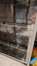 康宝（Canbo）消毒柜家用小型消毒碗柜高温烘干立式迷你台式餐具碗筷收纳柜厨房消毒机【政府补贴】XDR53-TVC1 实拍图