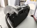 佳能（Canon）【客服领券减96】RF24-105mm F4-7.1 IS STM 全画幅微单相机镜头 标准变焦镜头 一镜走天下 实拍图
