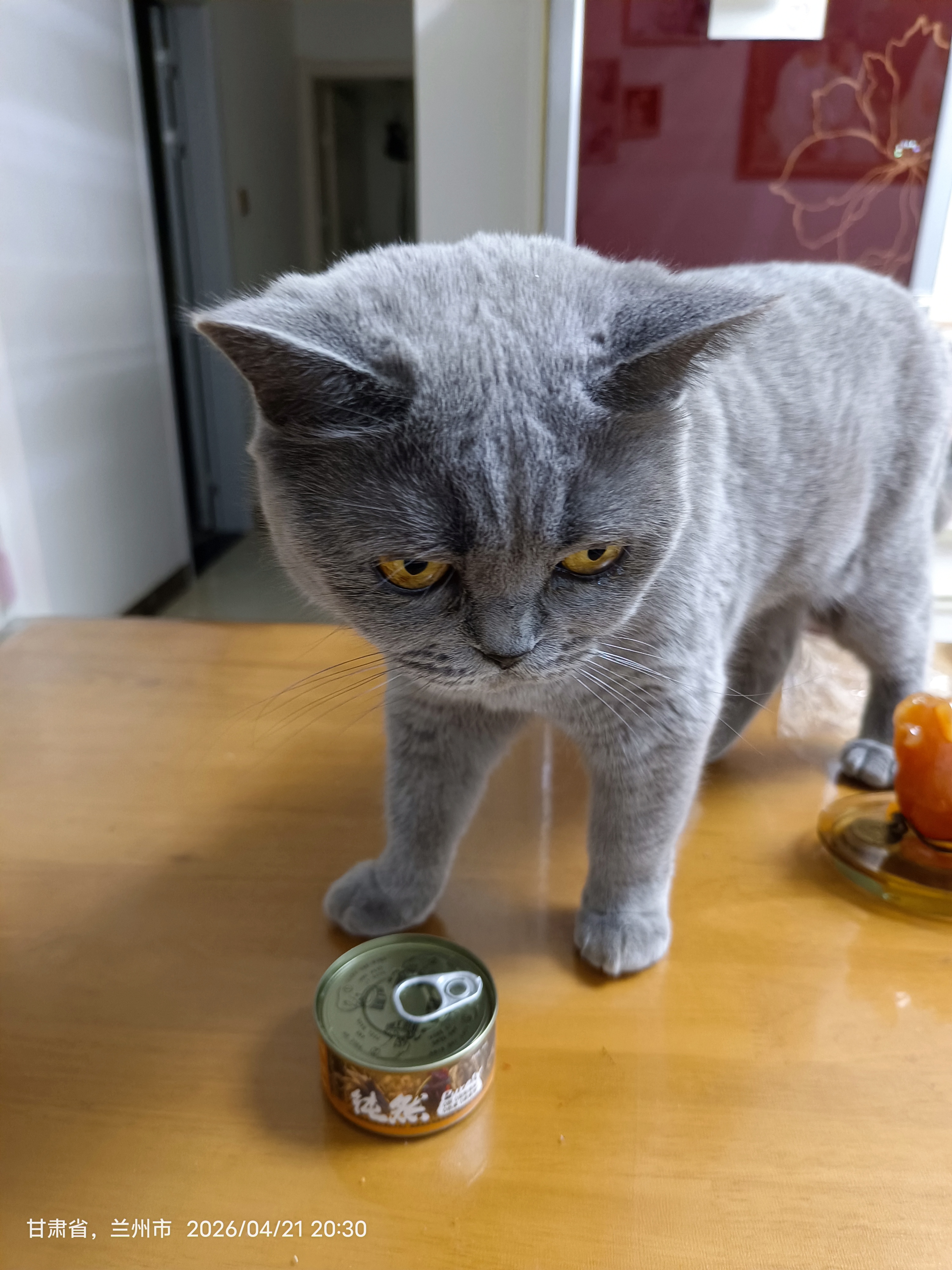 力狼猫罐头补水汤罐猫咪汤包幼猫成猫零食宠物食品猫湿粮 【7罐】鸡肉味补水罐85g 实拍图