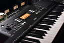 雅马哈（YAMAHA）(YAMAHA) PSR- F52儿童成人通用零基础初学入门娱乐演奏电子琴 实拍图