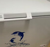 澳柯玛（AUCMA）307升单温冷柜家用减霜大冰柜 冷藏柜冷冻柜转换卧式冰箱雪糕柜一级能效 BC/BD-307HNE 以旧换新 实拍图
