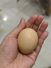 京鲜生可生食标准鲜鸡蛋30枚礼盒装3斤 源头直发 实拍图