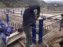 世腾桥梁景观护栏不锈钢复合管桥梁护栏人行天桥隔离护栏道路防撞栏杆 定制咨询客服 不锈钢 实拍图