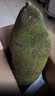 京鲜生海南菠萝蜜整个16-19斤 净重16斤生鲜水果 源头直发 实拍图