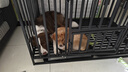 喵先生狗笼子 狗笼小中大型犬加粗加固金毛拉布拉多一体带厕所分离笼子 升级六面全方管【110*75*90cm】90斤内适用 实拍图