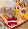 贵为（GiGwi）【山姆同款】狗玩具益智趣味漏食藏食嗅闻垫解闷消耗精力狗狗玩具 实拍图