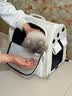 飞主流猫包外出便携超大号双肩背包猫咪狗狗宠物包手提车载笼可折叠猫袋 实拍图