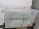 禧天龙塑料衣物收纳箱玩具整理箱车载储物箱55L 透明 1个装 带轮 实拍图