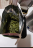 京东京造鲜来多2026新茶信阳毛尖明前特级125g*2 绿茶茶叶自己喝送礼地标 实拍图