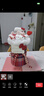 京东鲜花凯蒂猫玩偶花束公仔生日礼物女生送女友闺蜜儿童老婆母亲节永生花 实拍图