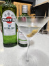 马天尼（Martini）洋酒 意大利进口 干威末酒1L 调酒 送礼 实拍图