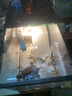 Barbarous Growth乌龟饲养缸生态造景家用带盖小型别墅爬台底部排水专用箱巴西龟缸 盖板+晒台+雨淋过滤+晒背灯+礼包 大号-40*20.5*22.5cm 黑色【防逃逸|加厚|加高】 实拍图
