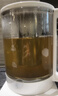 米家小米养生壶P1烧水壶电热水壶玻璃恒温壶泡茶煮茶器一体 儿童冲奶自动保温 家用办公室1.8L 实拍图