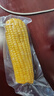京鲜生 东北黄玉米260g*10棒 真空包装黏玉米棒粘玉米 源头直发 实拍图