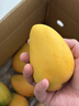 京鲜生 海南大台农芒果 3斤装 单果150g起 新鲜水果 实拍图