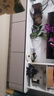 御特森【整装发货】实木烤漆电视柜简约轻奢风岩板电视柜茶几客厅储物柜 【实木烤漆】卡其柜1.8m 落地款 实拍图
