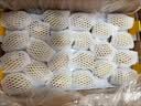 佳沛（zespri）阳光金奇异果黄心猕猴桃新西兰进口巨无霸当季新鲜水果礼盒 16枚大果单果114-125g【精美礼盒】 实拍图