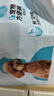 HONEYCARE好命家 狗狗纸尿裤公狗尿不湿生理裤M适用体重8-15kg/12片装 实拍图