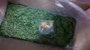 安迪优美紫花苜蓿草兔子兔粮龙猫荷兰猪牧草干草 毛重1000克 苜蓿草 实拍图