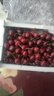山姆大叔车厘子美早樱桃【JD-多地次日达】大连4J级大樱桃水果礼盒装端午 3斤(净重) 【超值装-80%选】爽吃礼盒 【黑钻级｜鲜甜爆汁】3J 巨无霸 30-32mm 实拍图