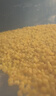 赤川黄小米5斤（内蒙古赤峰小米粥杂粮粥）蒸饭更软糯敖汉原产地 实拍图