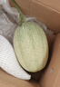 京鲜生 海南哈密瓜西州蜜/西周蜜  2粒5-7斤  生鲜水果礼盒  实拍图