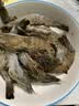鲜京采 鲜冻大号黑虎虾 去冰净重2斤 31-40只/盒 斑节对虾 实拍图