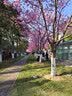 椋釉美式潮牌纯棉重磅夏季短袖t恤男宽松五分半袖男装百搭体恤上衣服 黑色 2XL 【140-160斤穿】 实拍图