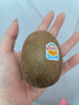 佳沛（zespri）新西兰 新果季 阳光金奇异果10粒巨大果单果146-175g 猕猴桃 实拍图