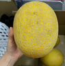 京鲜生 海南黄金哈密瓜 2粒 单果2.5斤起 净重6-8斤 生鲜水果礼盒 实拍图