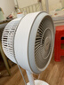 美的（Midea）【暴风循环】空气循环扇大风量摇头电风扇家用台式落地扇轻音卧室节能小风扇柔风轻羽扇 FGA24TQ 实拍图