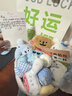 聚莜家生日礼物送女生线条小狗可爱毛绒玩偶花束卡通公仔12岁送女孩礼物 线~条小狗圆形蓝色【手提礼袋+灯串】 实拍图