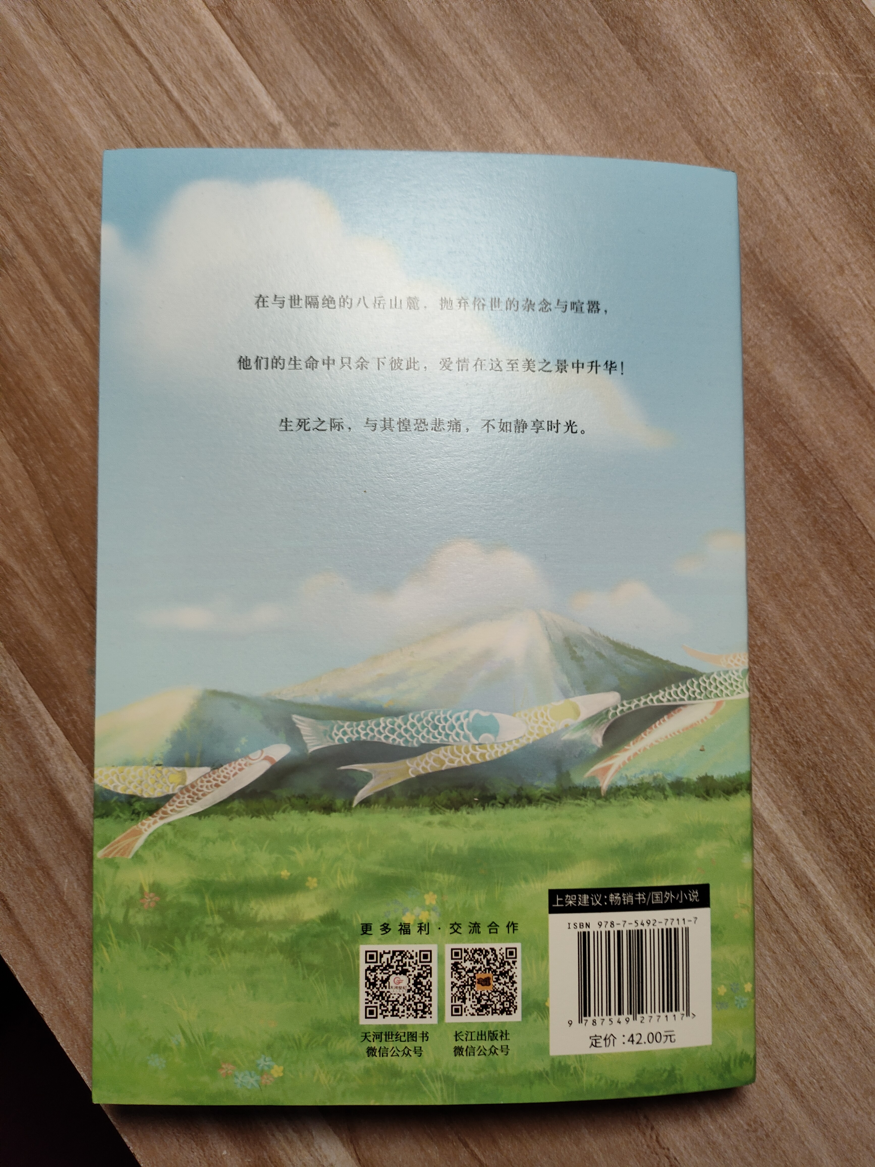 起风了 宫崎骏动画原著小说唯美插图珍藏本芥川龙之介弟子堀辰雄著作日漫感动无数作者的纯美恋歌爱情故事豆瓣高分 实拍图