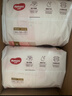 好奇（Huggies）铂金装小桃裤成长裤L120片(9-14kg)大号尿不湿拉拉裤【透爽散热】 实拍图