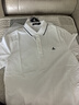 Navigare意大利小帆船男士POLO衫夏季凉感短袖体恤衫抗菌休闲翻领T恤男 冰川白 L 实拍图
