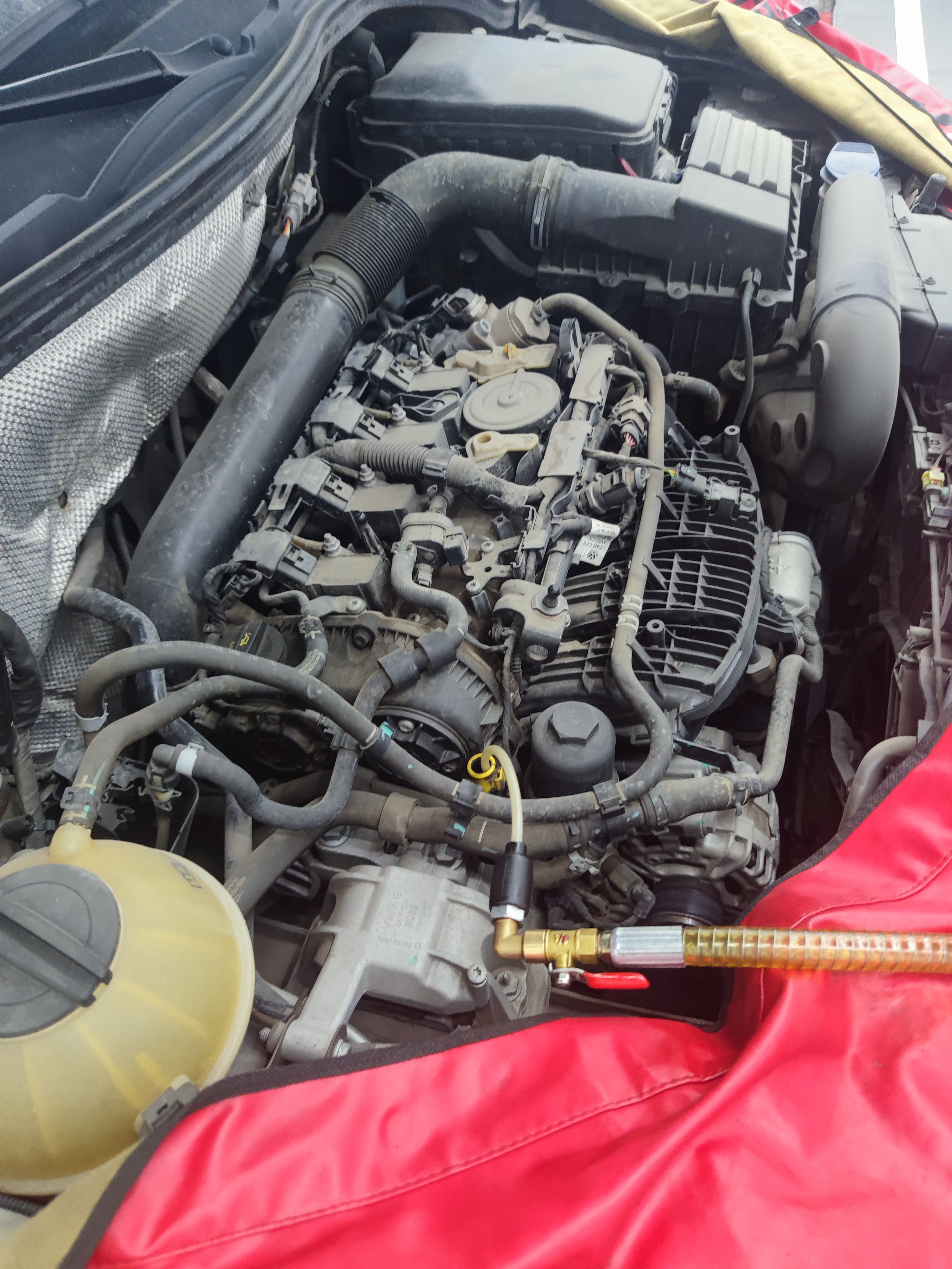 嘉实多（Castrol）磁护智E版双次小保养卡 5W-40 SP 6L 含机油+机滤+工时 汽车保养 实拍图