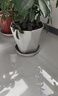 寿禾 花盆大号带托盘树脂塑料绿植种植盆 木里盆大号-浅灰 实拍图