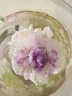 贡苑【绿色食品】玫瑰花茶平阴无硫熏大朵玫瑰花冠送女友生日礼物60g 实拍图